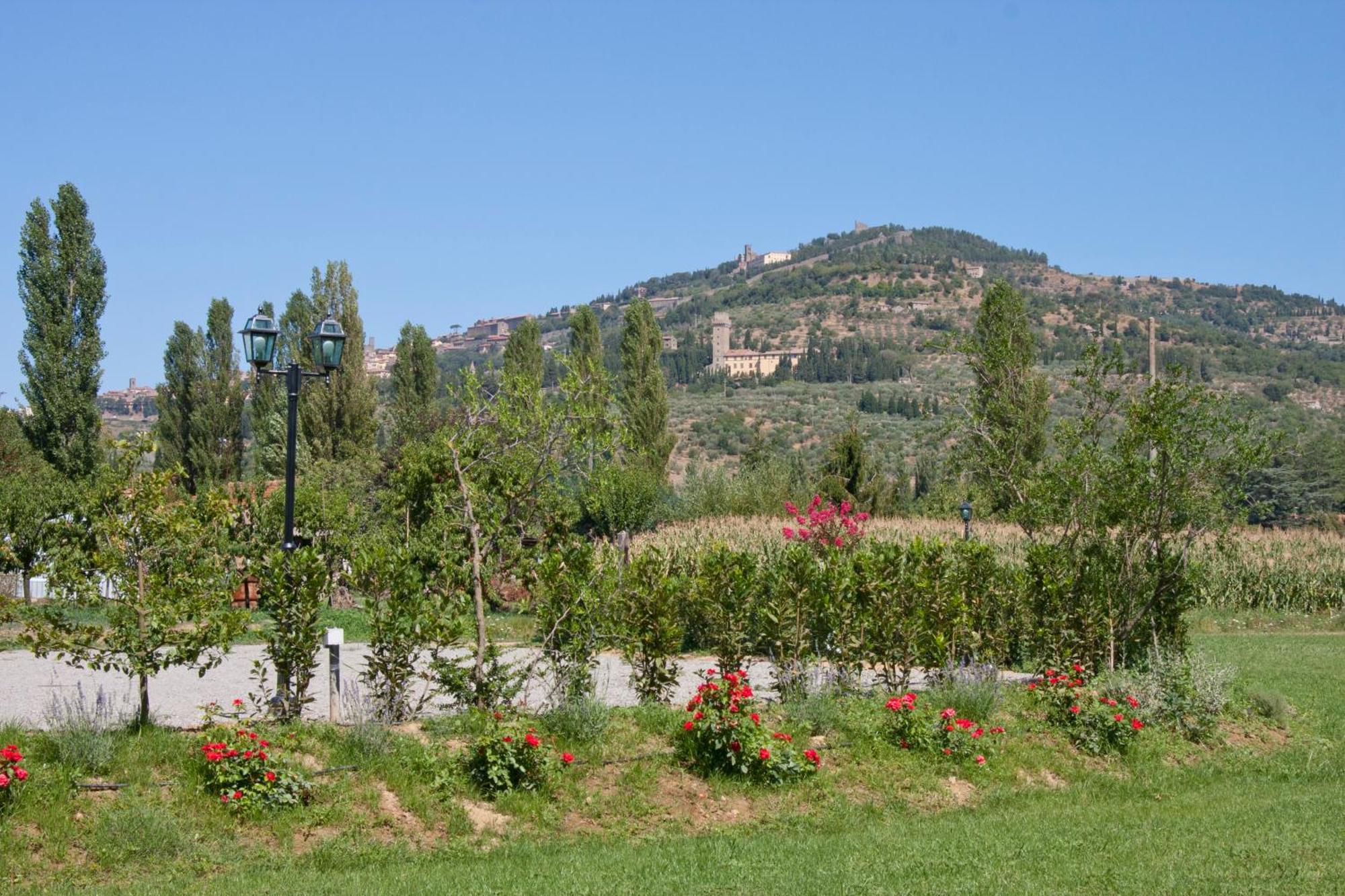 Casale L'Antico Carro Bed & Breakfast Cortona Bagian luar foto