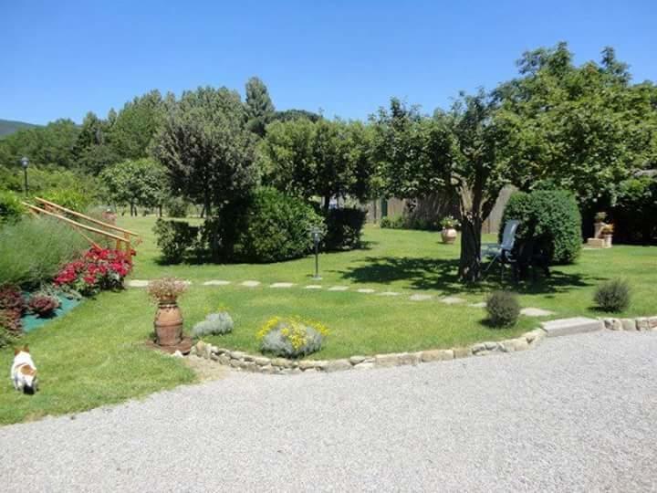 Casale L'Antico Carro Bed & Breakfast Cortona Bagian luar foto